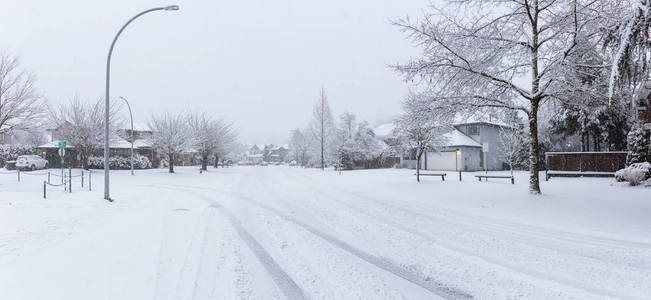 一场白色暴风雪中郊区的居民区