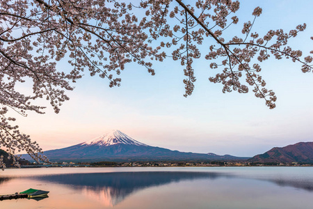 日本富士山，春天在川口湖畔