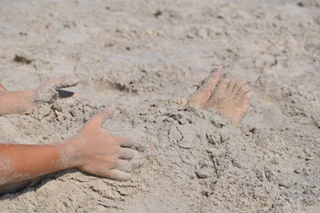 沙滩挖海螺图片