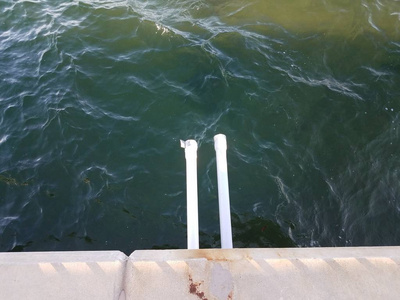 带排水管和湖水或池塘水的水泥照片