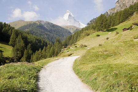 风景 瑞士 马特霍恩 旅游业 泽马特 自然 小山 森林 旅行
