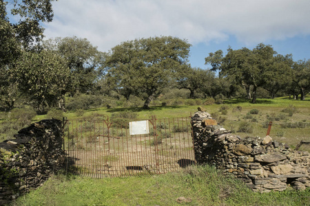 小或大地块的入口门，其中牧场的橡树和软木橡树农场被划分为安达卢西亚，用于在广泛的系统中饲养奶牛和猪