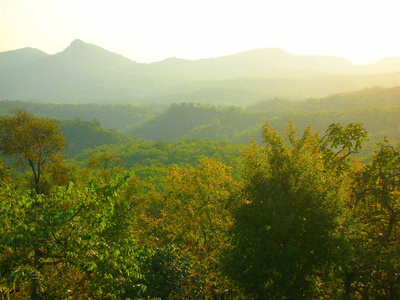 风景 夏天 旅行 小山 全景图 美丽的 自然 美女 草地