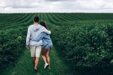 A tender loving couple walking in a field of currant. Back view 