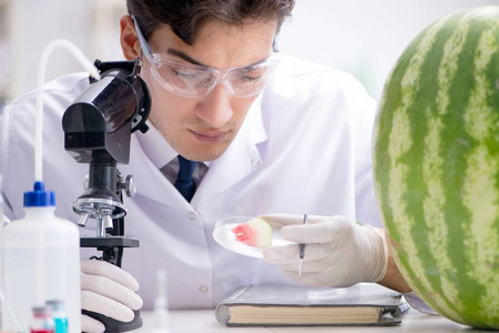 科学家在实验室里测试西瓜