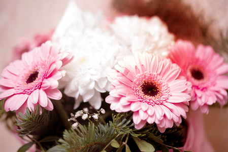 一束美丽的菊花和非洲菊花束，呈粉红色。