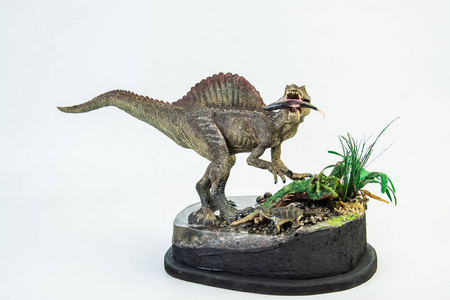 刺龙和它的食物,恐龙在白色的背景照片