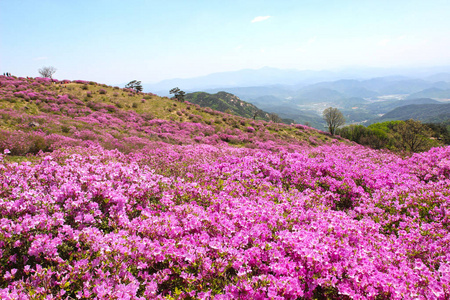 黄梅山鸟瞰图，海川，京南，韩国，亚洲