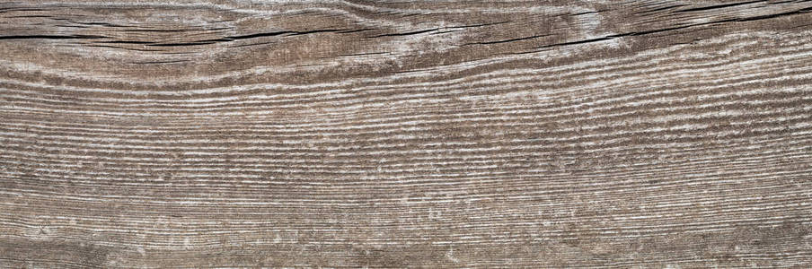 面板 木板 纹理 地板 古老的 材料 木材 硬木