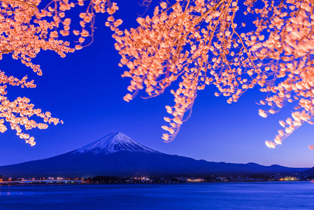 日本富士山，春天在川口湖畔