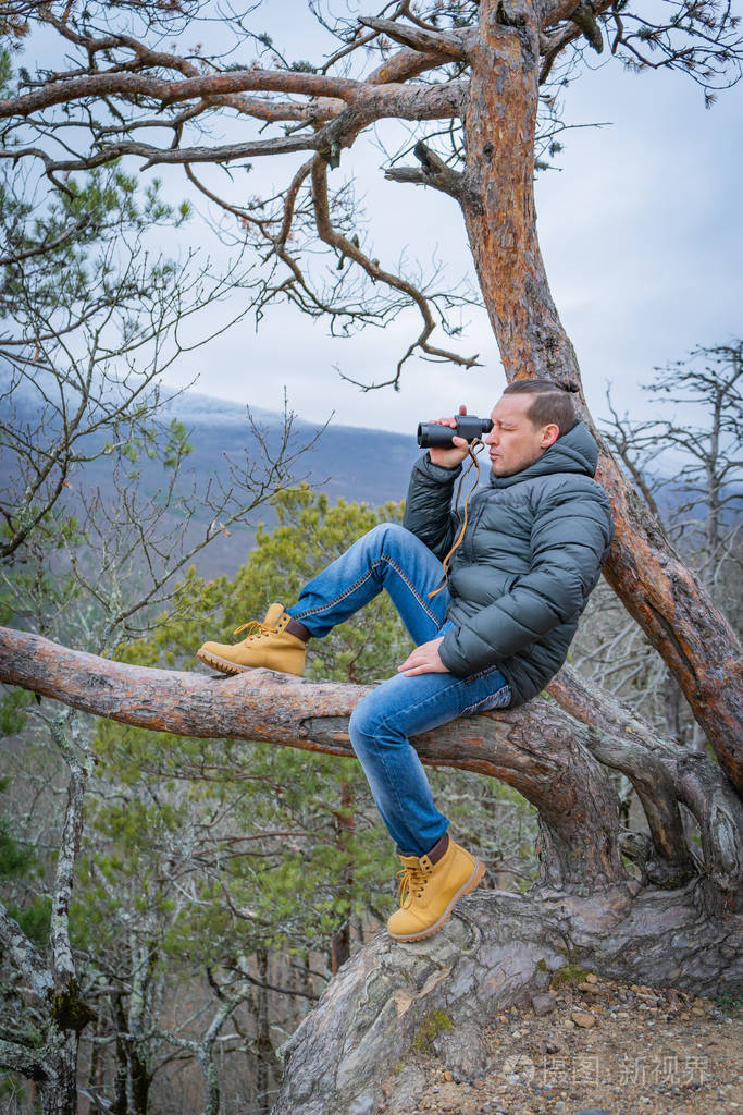 戴着单眼眼镜的旅行者坐在针叶树的大树枝上眺望远方