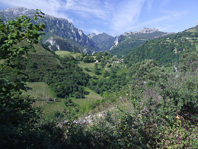 森林 天空 美丽的 小山 夏天 岩石 风景 欧洲 山谷 自然