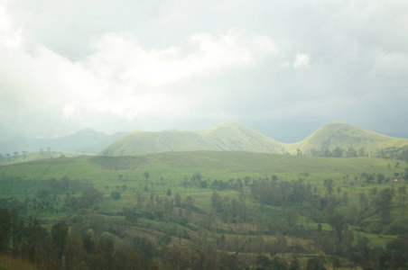 美女 美丽的 全景图 山谷 环境 公园 木材 小山 旅游业