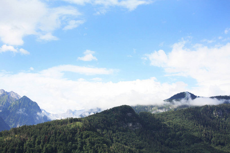 森林 旅游业 夏天 徒步旅行 岩石 云杉 公园 风景 美丽的