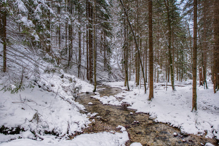 冬季景观在山区与河流和美丽的雪树，斯洛伐克马拉法特拉，扬诺西科夫洞