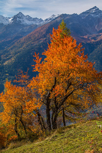 意大利阿尔卑斯山秋季景观