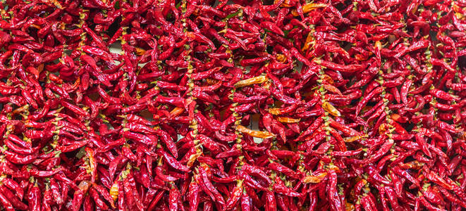 Dry hot chillis background. 