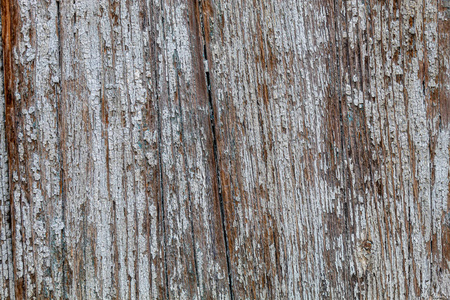 面板 木板 粮食 地板 材料 木材 树皮 纹理 古老的 自然
