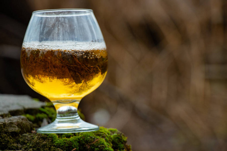 秋天的森林里,一杯啤酒立在长满青苔的石头上照片