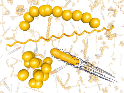 生物技术 研究 科学 分子 插图 沙门氏菌 鸡蛋 原子 细菌