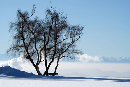 冬天 景象 太阳 见解 座位 浪漫的 长凳 阿尔卑斯山 乡村