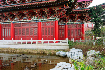 池塘 公园 文化 瓷器 画廊 花园 寺庙 自然 亭阁 水塘