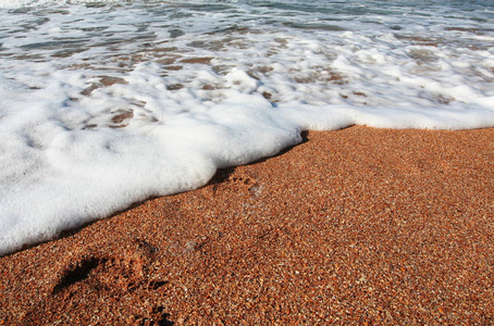 夏天 冲浪 娱乐 假期 放松 生态学 自然 海滩 海岸 求助
