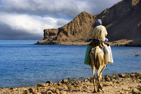 岩石 美女 骆驼 女人 假期 旅行 旅游业 风景 埃及 天空