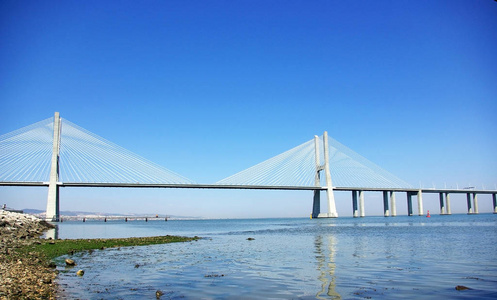 建筑 建筑学 葡萄牙语 金属 水泥 运输 自然 葡萄牙 伽玛