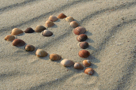 夏天 海滩 内阁 旅行 假期 海洋 卵石 自然 签名 石头