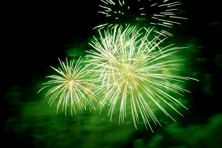 圣诞节 聚会 周年纪念日 烟火 独立 烟花 颜色 节日 火箭