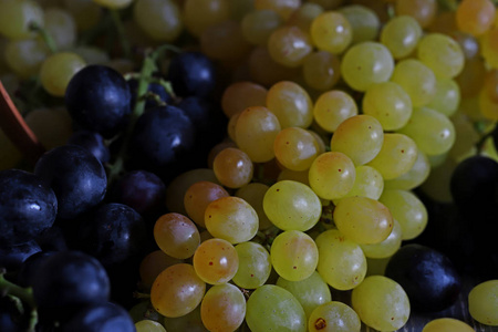 果汁 营养 葡萄 分支 饮食 水果 收获 夏天 秋天 农业