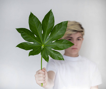 a teenage boy holds a large leaf from a tree in front of him 