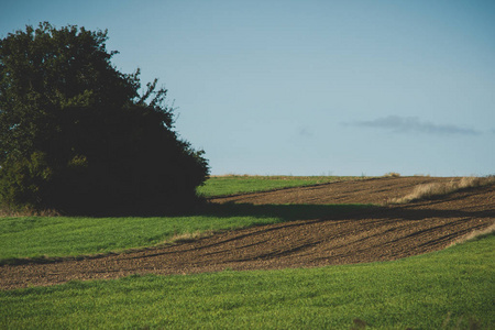 rural landscape with fields 