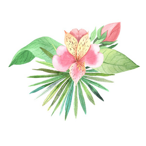 水彩手绘热带花卉套装