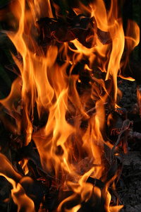 篝火 保险 灭火器 灾难 烤架 火焰 烤箱 壁炉 烧烤 木材