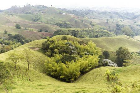 天空 灌木 植被 地标 奎迪奥 全景 全景图 绿色植物 安第斯山脉