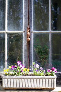 自然 夏天 美丽的 房子 颜色 窗口 植物 建筑 古老的