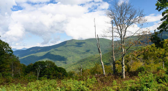 北卡罗来纳州 卡罗莱纳州 落下 公园 荒野 美丽的 全景