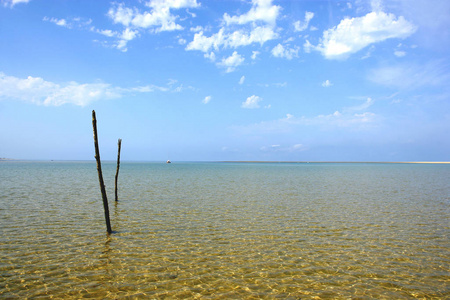 环境 海岸 海洋 波动 地平线 夏天 美丽的 天空 旅游业