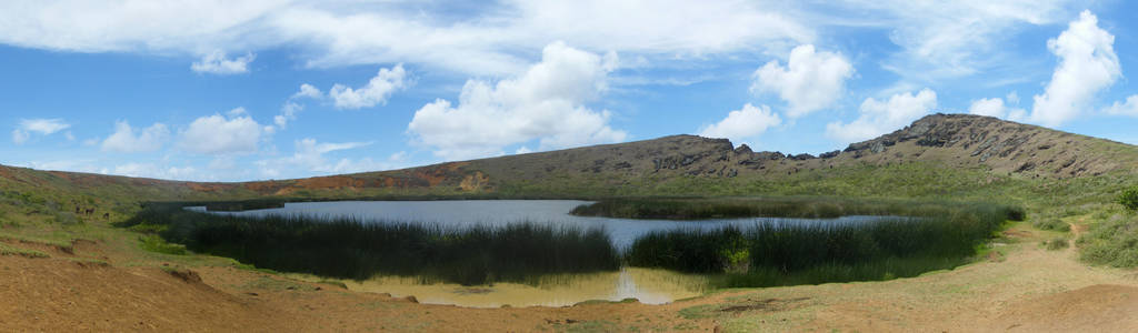 智利 美丽的 自然 全景 全景图 夏天 旅行 森林 天空