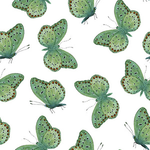  seamless pattern green tropical butterfly 