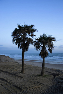 休息 海滨 见解 地平线 厚的 全景图 乡村 自然 远景