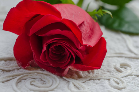 桌上红玫瑰的细节。