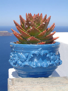 植物 旅游 地中海 假期 旅游业 希腊 花盆 假日 旅行