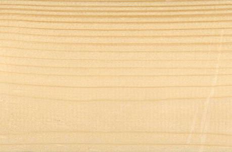 分支纹理背景绿色云杉白云杉科罗拉多云杉或科罗拉多蓝云杉树学名云杉