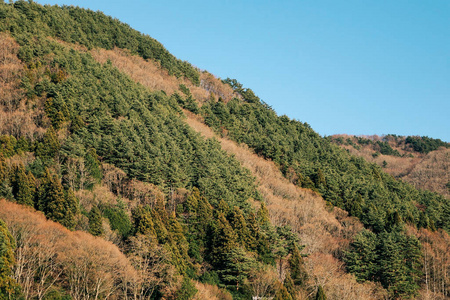 Green mountain at sunny day 