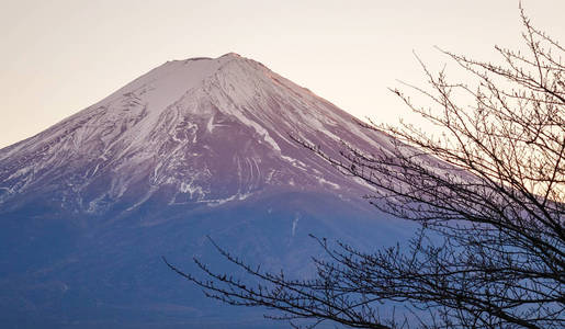 阳光明媚的富士山景色图片