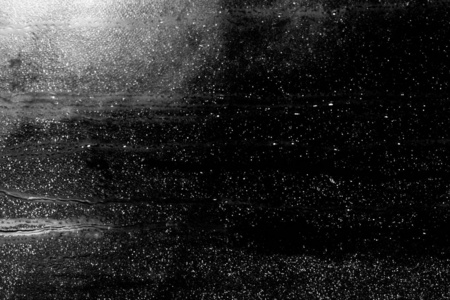 黑底玻璃上有白点黑底玻璃上有白点黑底玻璃上有白点两只狮子狗黑底