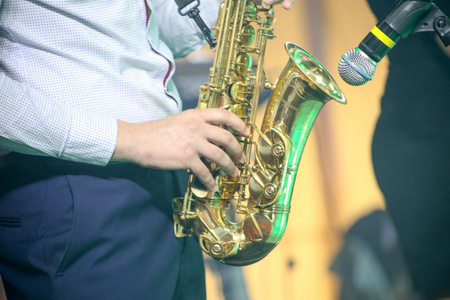 艺术 音乐家 音乐会 男人 艺术家 节日 蓝调 黄铜 特写镜头